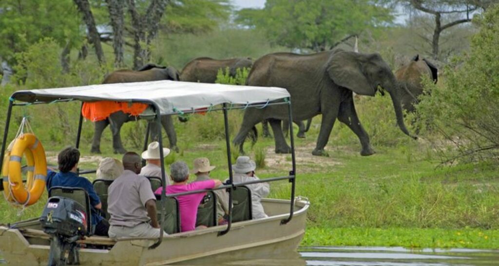 Boat Safari In Nyerere National Park1
