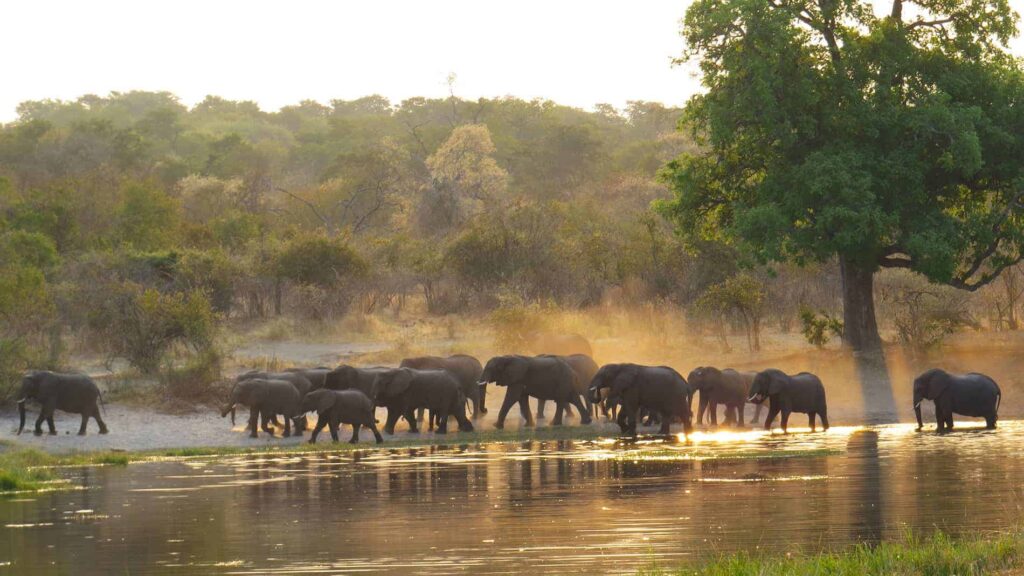 Caprivi Strip