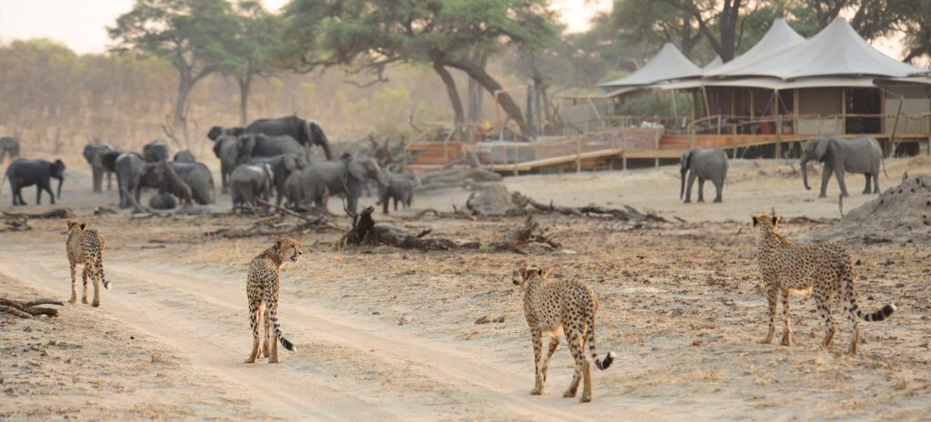 Hwange National Park