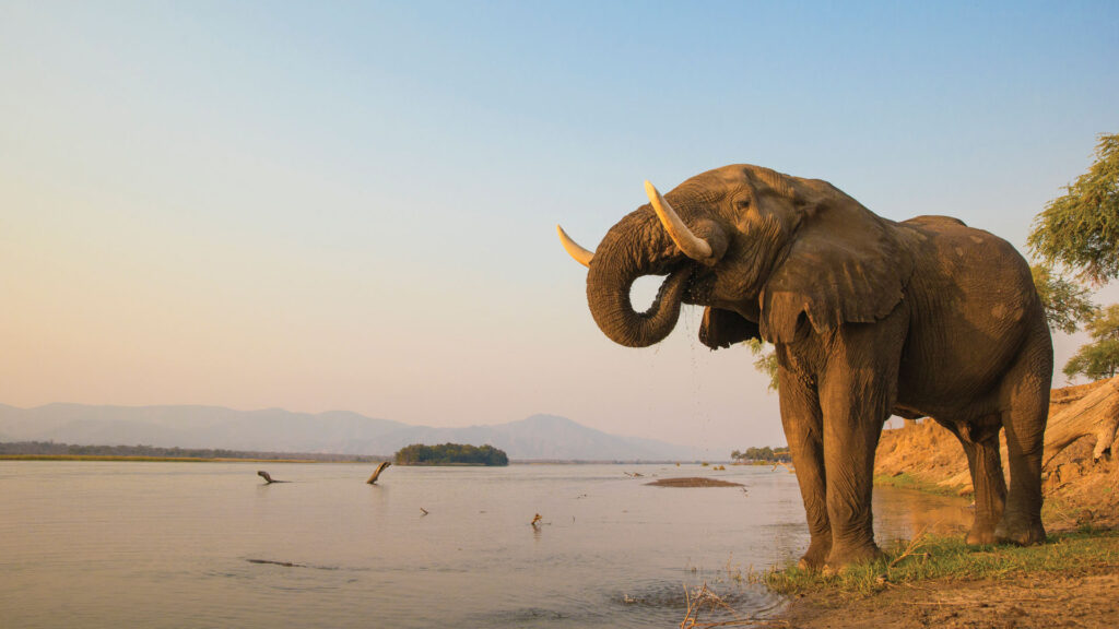 Mana Pools National Park
