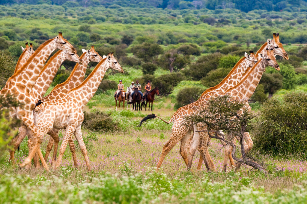 Mashatu Game Reserve