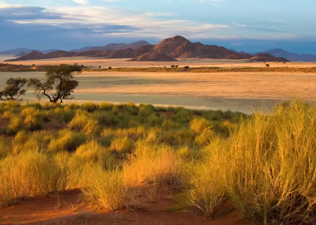 Namib Naukluft National Park