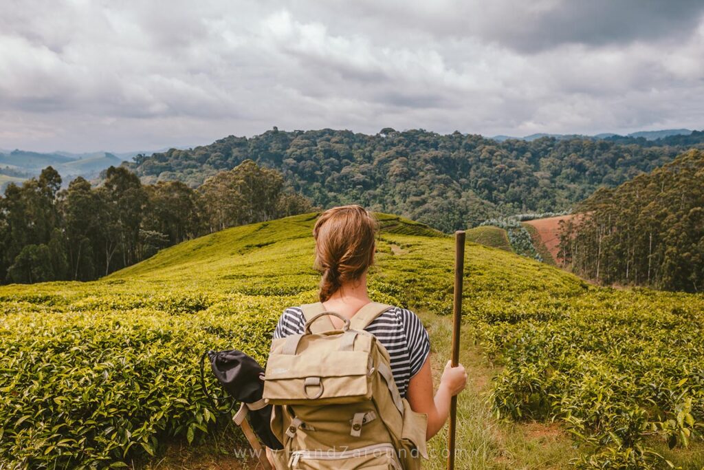 Nyungwe Activities2