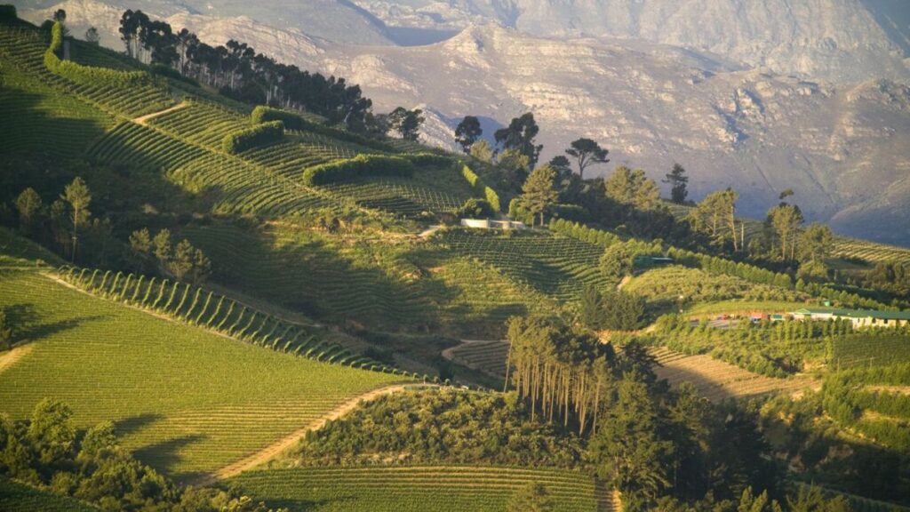 Stellenbosch Western Cape