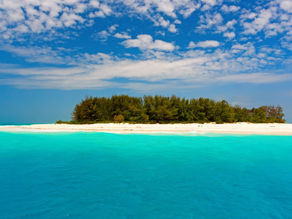 Mnemba Atoll Tours