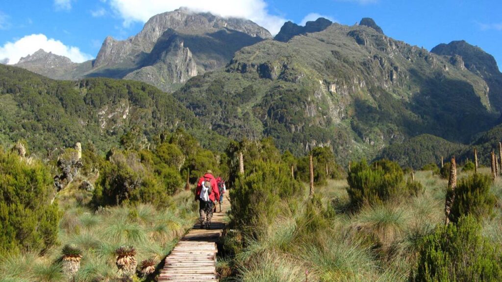 Mountaineering And Hiking6